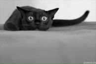 Фотография Бахтияровой Карины