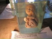 Любава Субботина фотография #16 (источник - https://vk.com/id69171592)