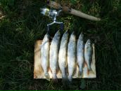 Славік Кухарський фотография #39 (источник - https://vk.com/id83026840)