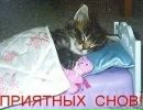Іван Стрилюк фотография #12 (источник - https://vk.com/id154571778)