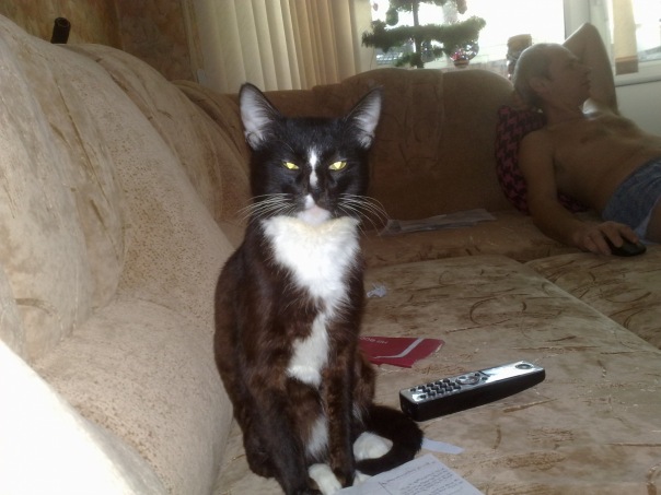 Сима Симович фото №1