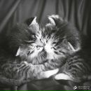 Фотография Мельниковой Елизаветы