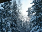 Фотография Колсановой Ольги