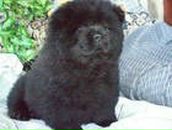 Надя Петріянчук фотография #32 (источник - https://vk.com/id71486847)