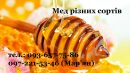Галина Дніпровська фотография #8 (источник - https://vk.com/id97048954)
