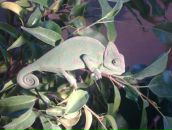 Фотография Кныш Наташи