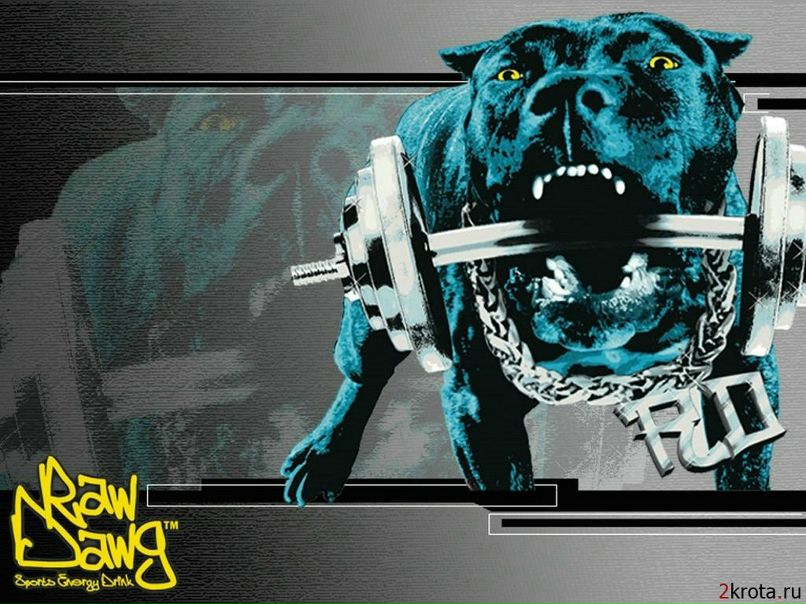 Антон Bars фотография #13