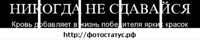 Сергей Яковлев фотография #6 (источник - https://vk.com/id11738781)