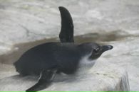 Дарья Попова фотография #47 (источник - https://vk.com/id1113792)