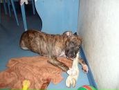 Фотография Дмитриевой Валерии