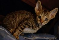 Фотография Ефимовой Инны