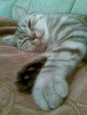 ♥ды♥мо♥ву♥шеч♥ка♥ ♥♥ фотография #9 (источник - https://vk.com/id74332987)