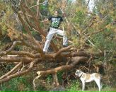 Фотография Акишина Сергея