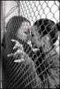 Ксюша Ромашків фотография #16 (источник - https://vk.com/id113849273)