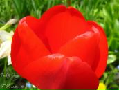 Сергій Хеміч фотография #35 (источник - https://vk.com/id11054151)