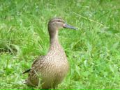 Дмитрий Спирин фотография #1