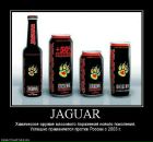 Никита Пидгаецкий фотография #41 (источник - https://vk.com/id138222235)