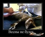 Ігор Грохольський фотография #41 (источник - https://vk.com/id25066910)