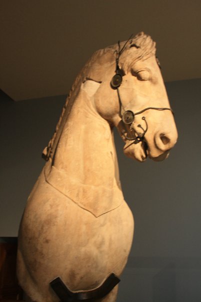 Дмитрий Гудков фото №36