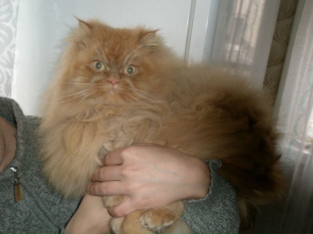 Ирина Кравченко фотография #17