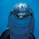 Фотография Martinez-Navas Eliza