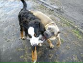 Наталія Петрова фотография #47 (источник - https://vk.com/id8906209)