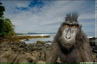 Фотография Мун Иветы