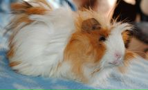 Фотография Делигодиной Екатерины