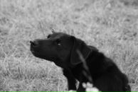 Фотография Богатырёва Валерия