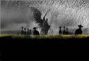 D@ncy-{emo} Boy фотография #30 (источник - https://vk.com/id68525990)