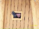 Майя Ільчук фотография #1
