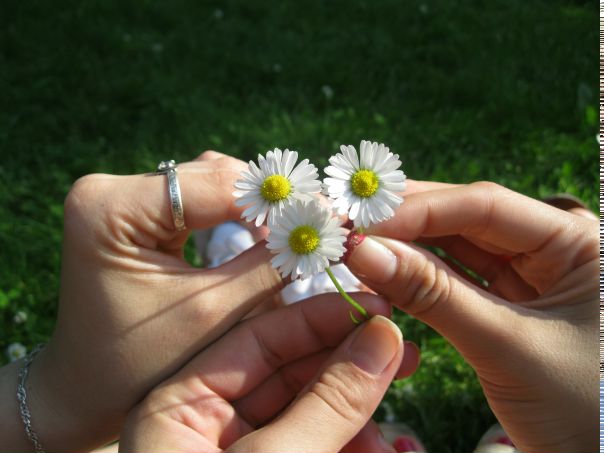 №11, Антон Да Дарья Парфеновы №11, Антон Да Дарья Парфеновы