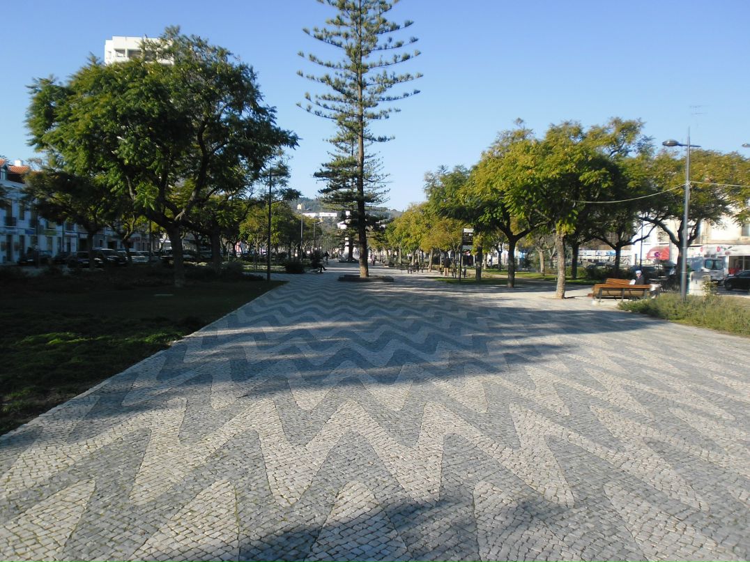 Егор Кошкин фотография #23