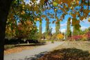 Αлена Κапустина фотография #46 (источник - https://vk.com/id168155884)