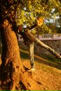 Фотография Григорьевой Нинель