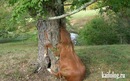 Іра Барташок фотография #17 (источник - https://vk.com/id144130282)
