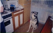 Фотография Ведерниковой Хелены