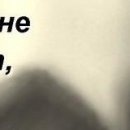 Натакент!!!_)))))))))))))) Ха!!!!!!!!!))))))))))) фотография #49 (источник - https://vk.com/id148146842)