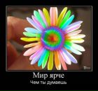 Віра Возняк фотография #33 (источник - https://vk.com/id10850515)