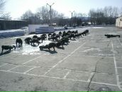 Дмитрий Утев фотография #17 (источник - https://vk.com/id890345)