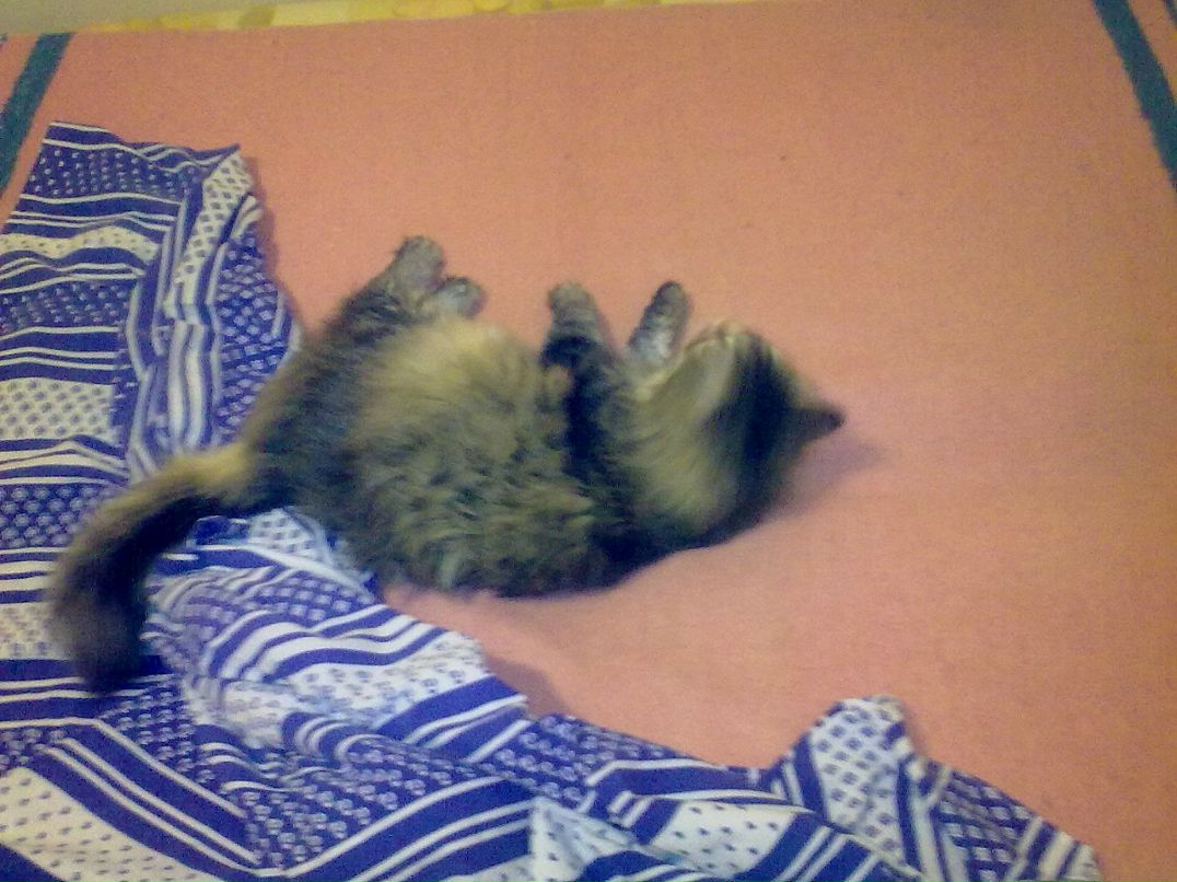 Андрюшка Орлов фотография #2