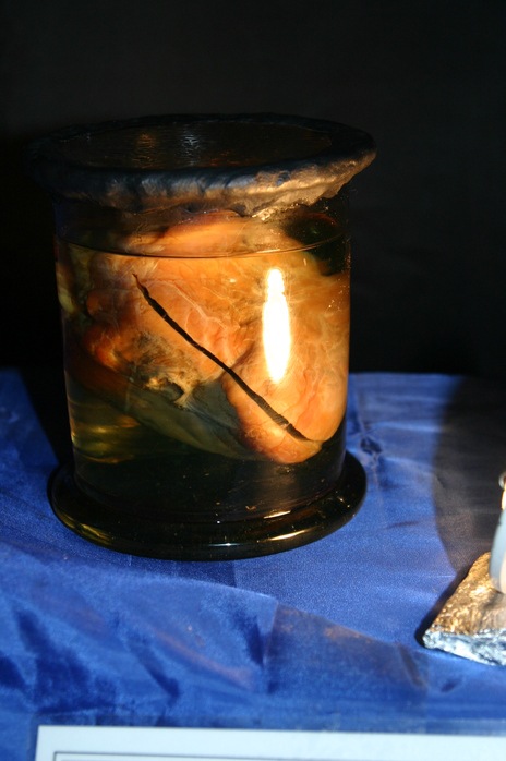 Айван Серков фотография #31