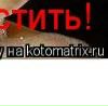 Соломія Лазоришин фотография #25 (источник - https://vk.com/id23350110)