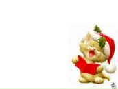 Фотография Волковой Екатерины