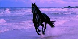 Фотография Городкова Константина