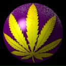 Вітя Ковбас фотография #11 (источник - https://vk.com/id135691887)