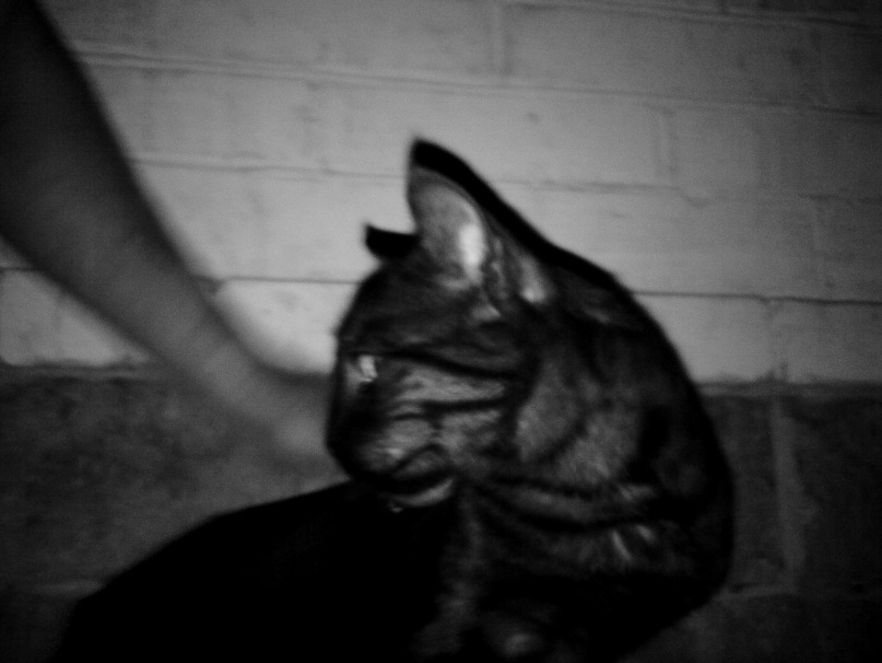 Татьяна Полетайкина фотография #33