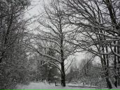 Вова Таргоній фотография #45 (источник - https://vk.com/id62501575)