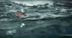 Оля Оленійчук фотография #4 (источник - https://vk.com/id102328242)