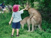 Nazar Андрушків фотография #34 (источник - https://vk.com/id33992617)